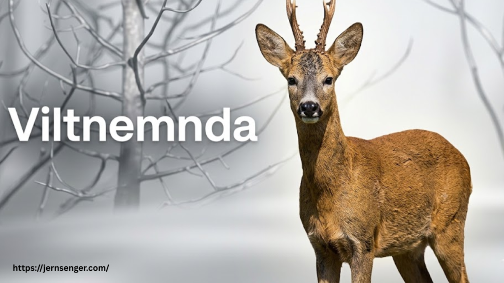 Viltnemnda